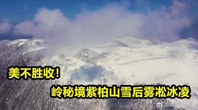 香蜜沉沉烬如霜装扮