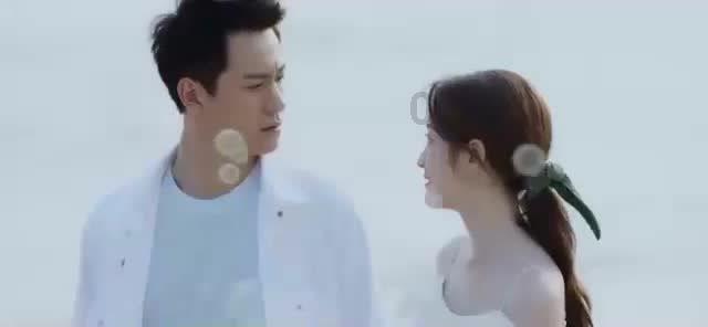 动物帮帮忙保卫家园