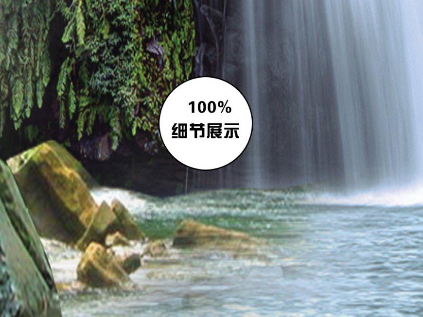翻转吧，苹果虫