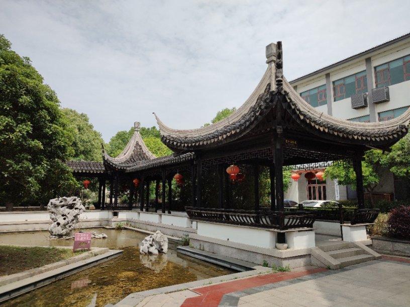 茶叶可以喝姜一起泡水吗游戏画面