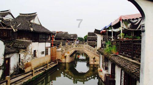 冬游丽水:庆元山野冬日之美,好治愈呀!